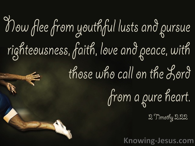 2 Timothy 2:22 Pursue Righteousness Faith And Love (black)